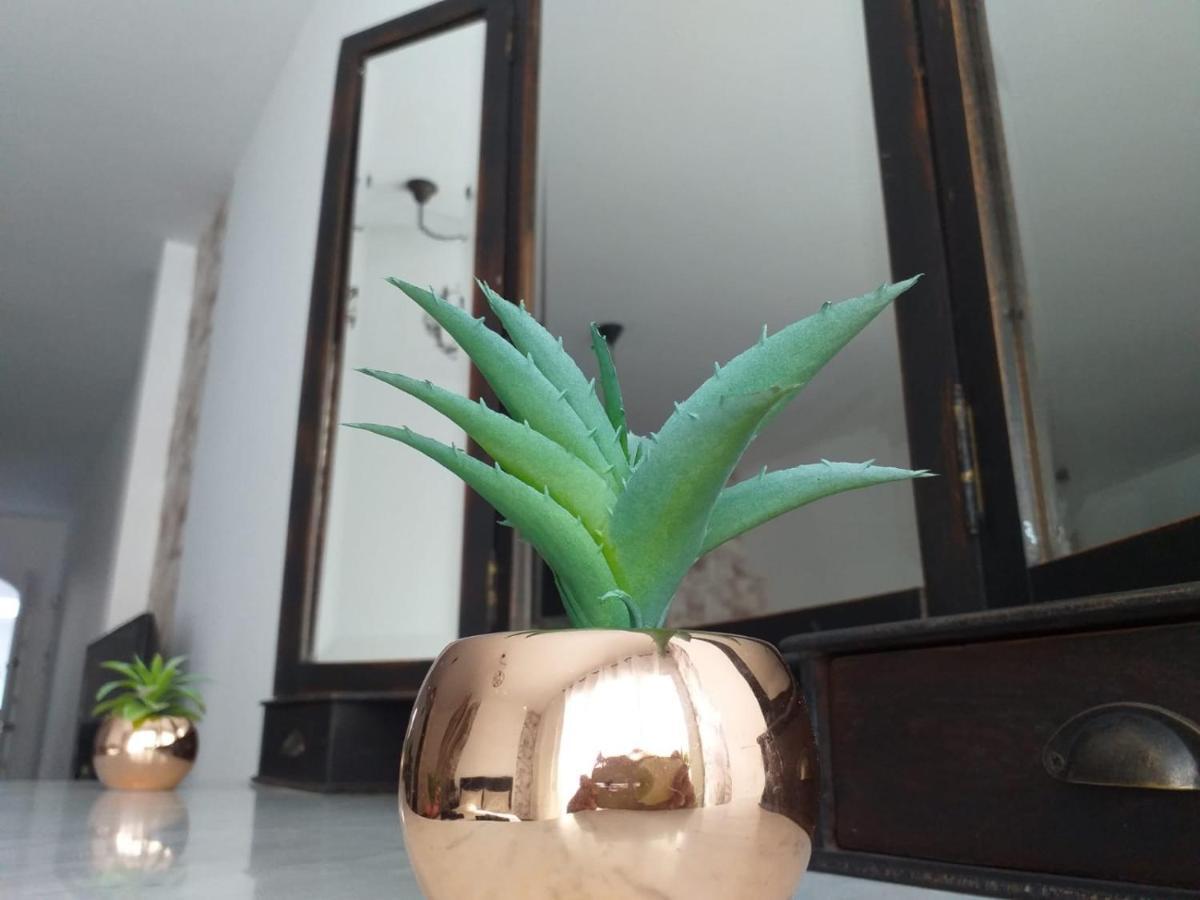 Loft 113 Apartment Corralejo Ngoại thất bức ảnh